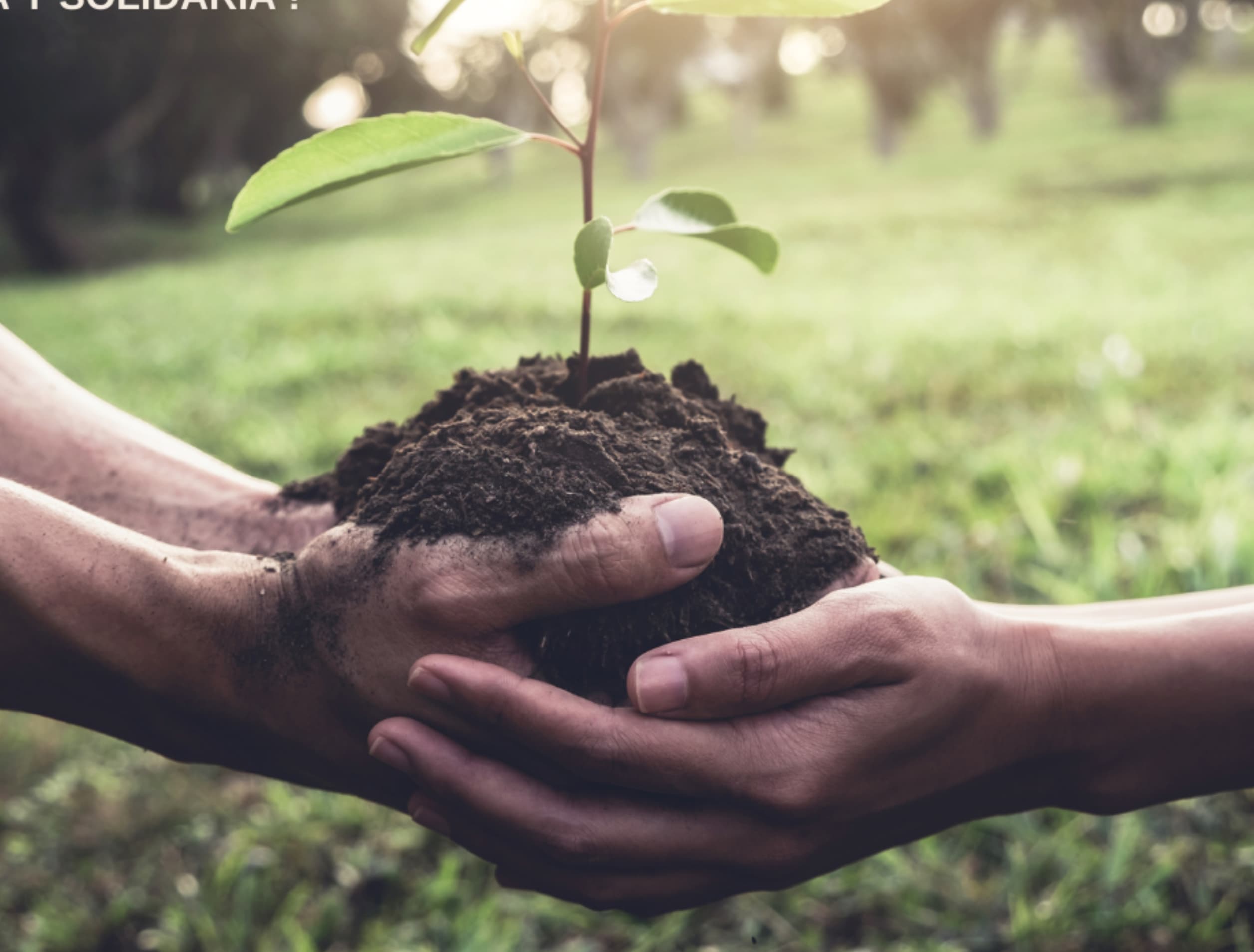 Subvención de 12.641,55 € para la financiación de proyectos y actividades de promoción y fomento del voluntariado